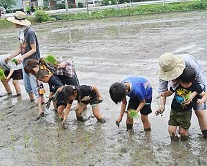 みんなで田植え！