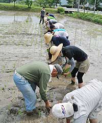 かがんだ姿勢で頑張られていました。