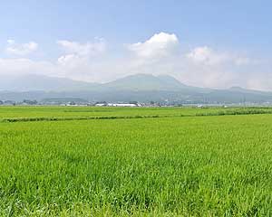 豪雨が嘘のような晴天